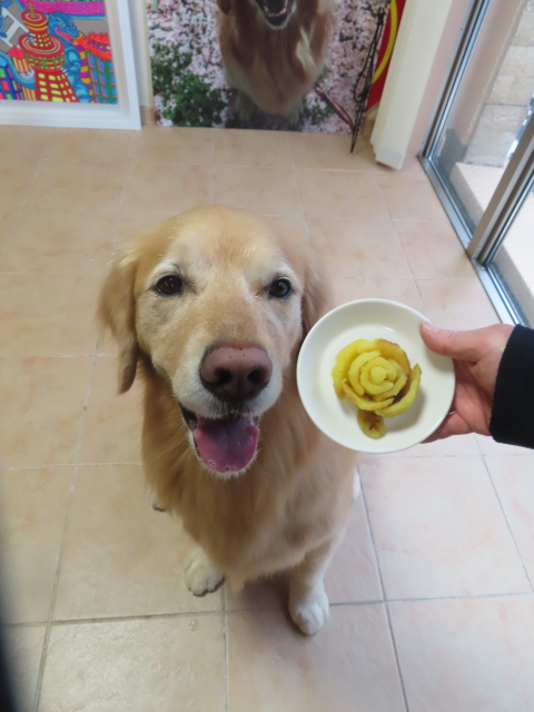 ファイル 8726-4.jpg