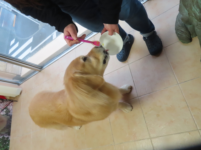 ファイル 8726-5.jpg