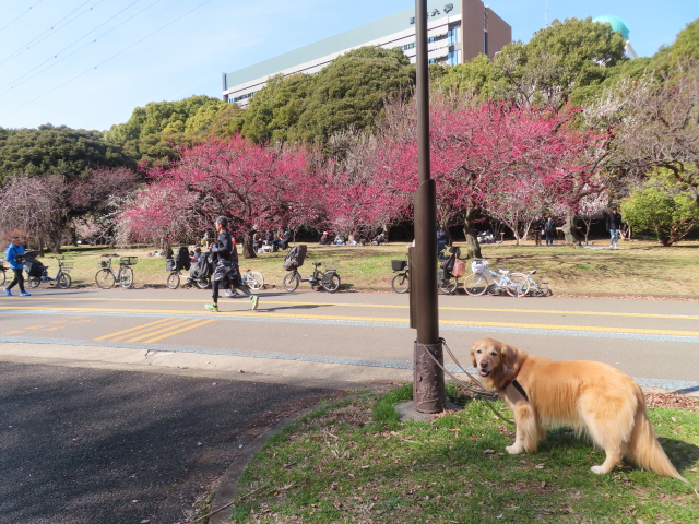 ファイル 8728-2.jpg