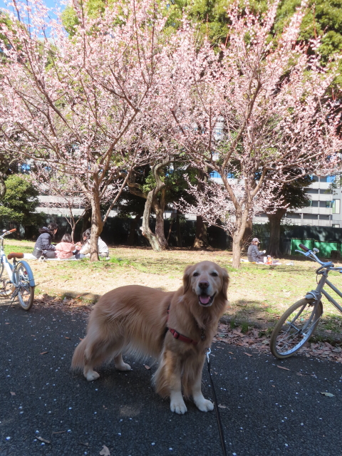 ファイル 8729-3.jpg