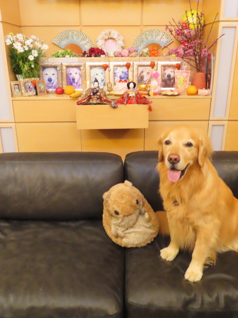 ファイル 8729-5.jpg