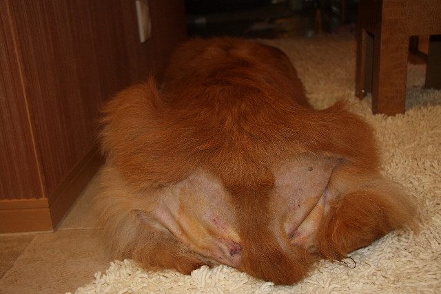 ファイル 873-1.jpg