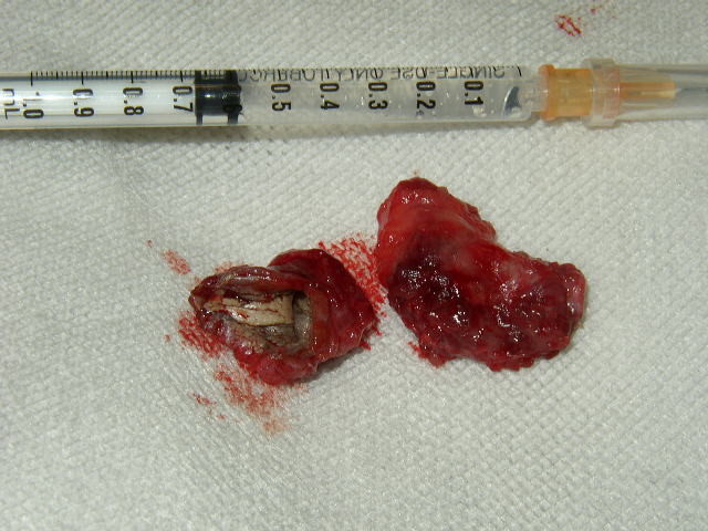 ファイル 873-4.jpg