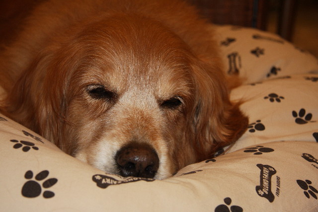 ファイル 873-5.jpg