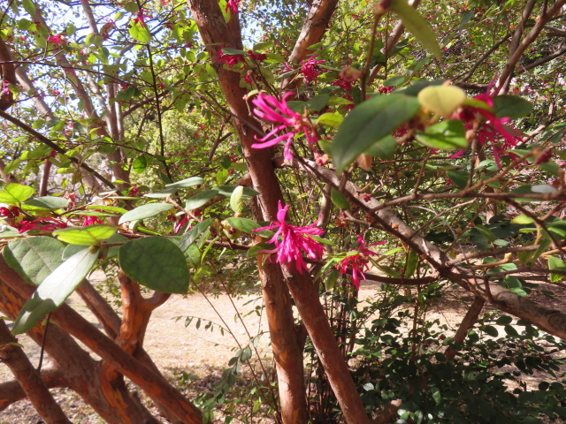 ファイル 8730-1.jpg