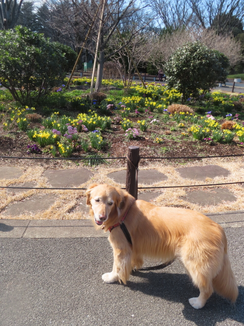 ファイル 8731-1.jpg