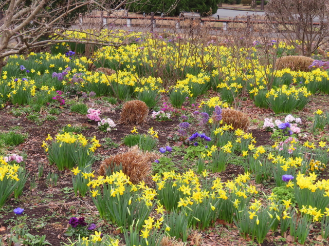 ファイル 8731-3.jpg