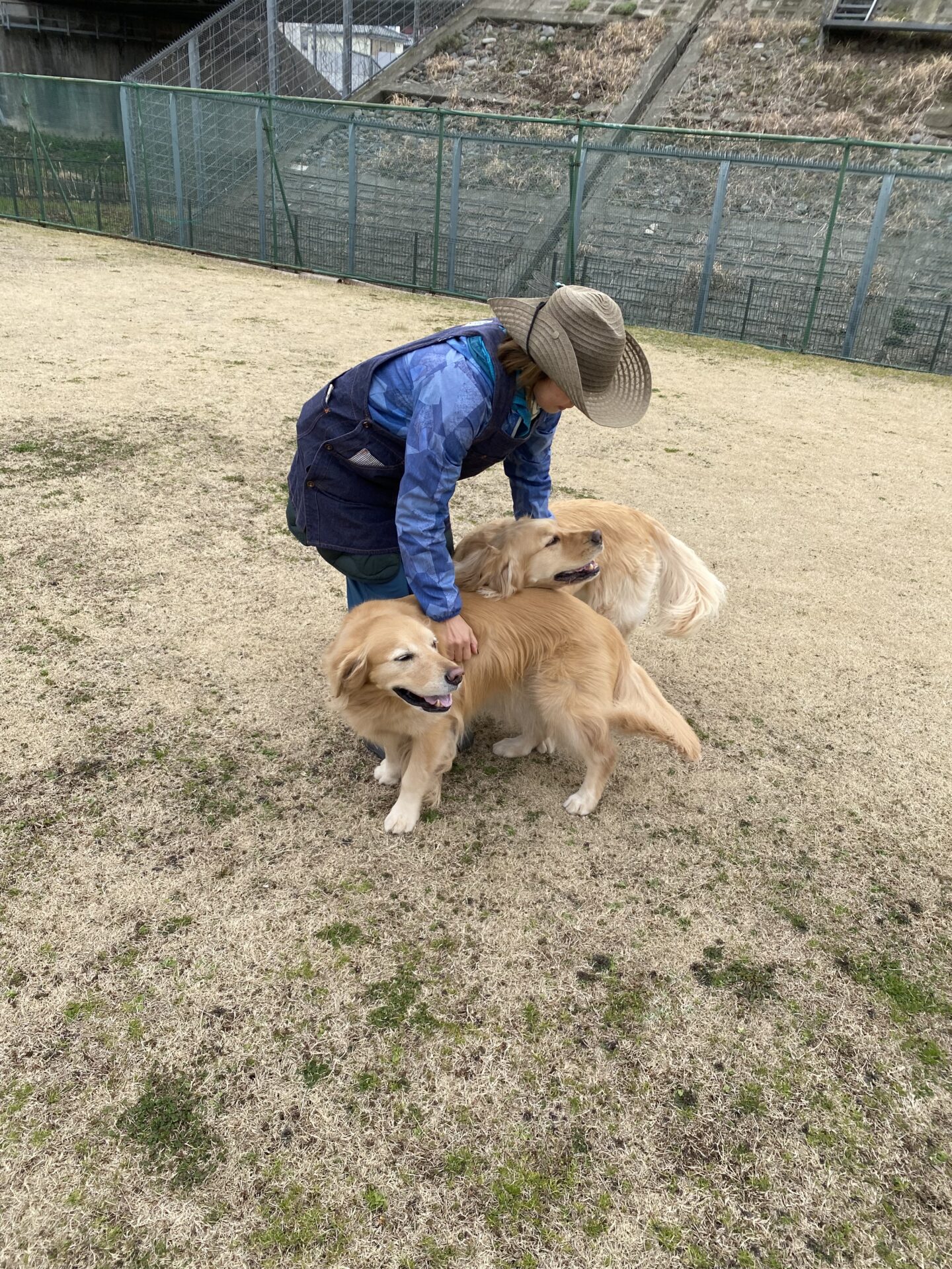 ファイル 8734-3.jpeg