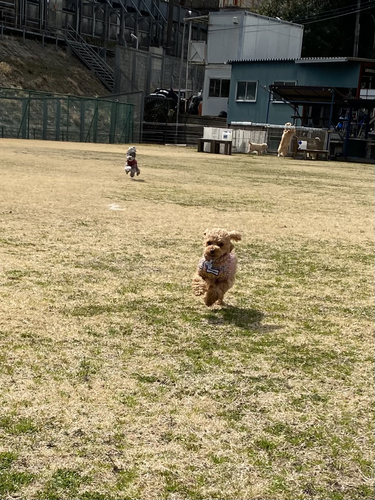 ファイル 8734-5.jpeg