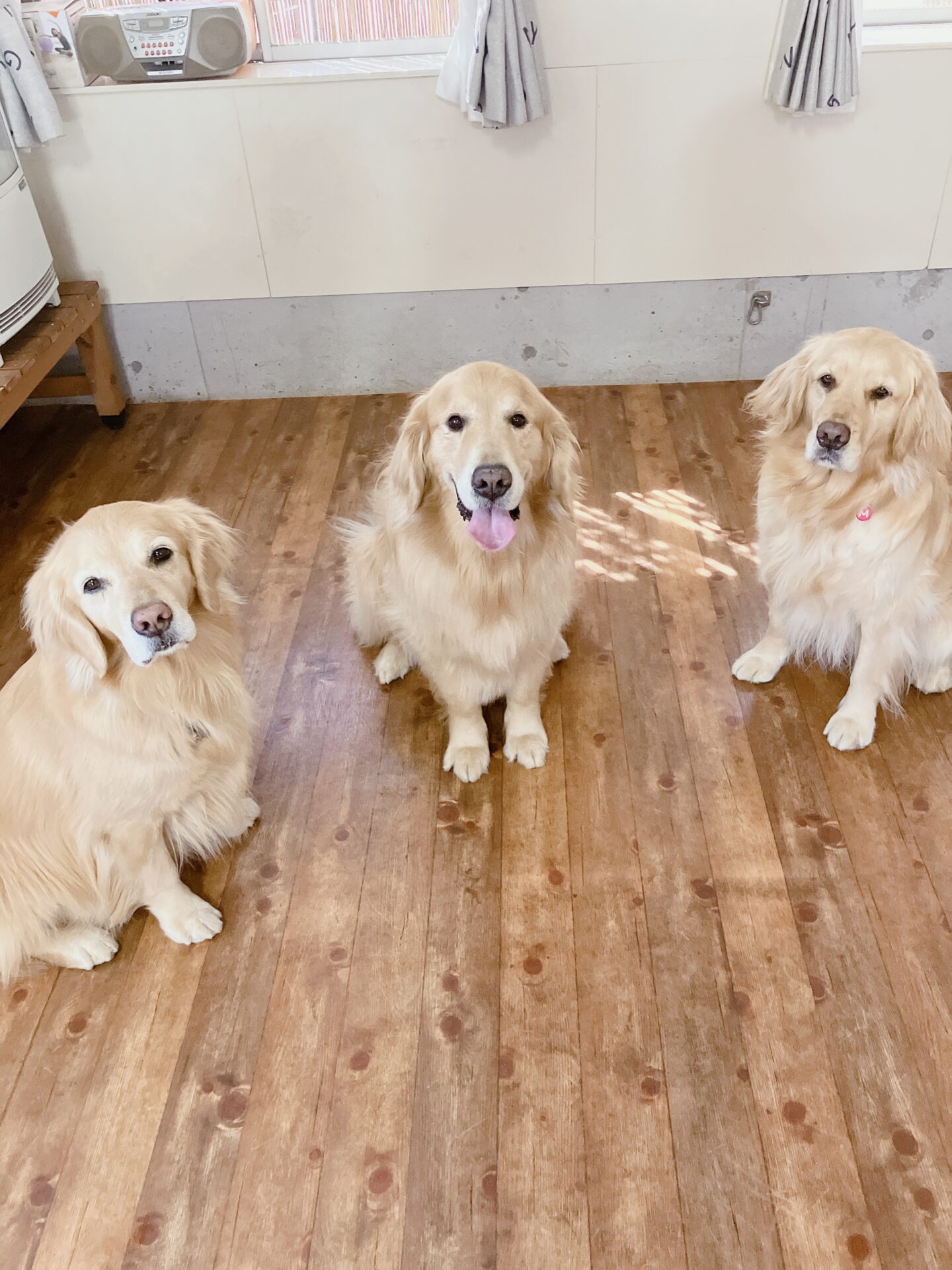 ファイル 8738-2.jpeg