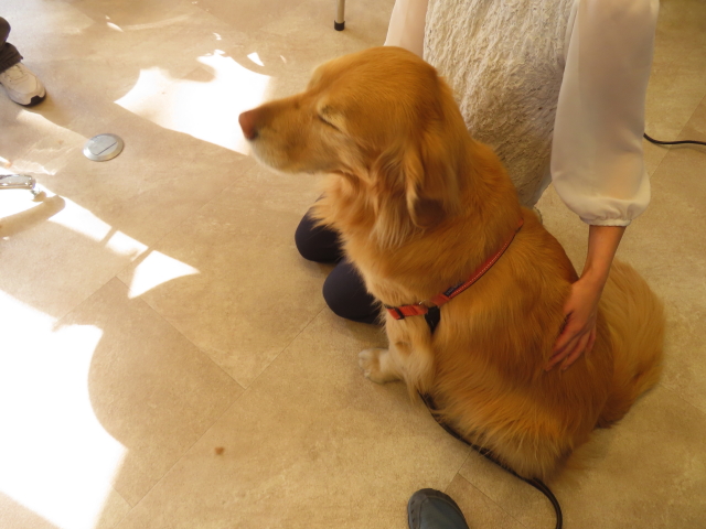 ファイル 8741-1.jpg