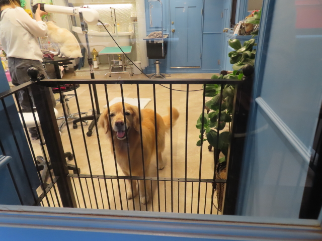 ファイル 8741-2.jpg