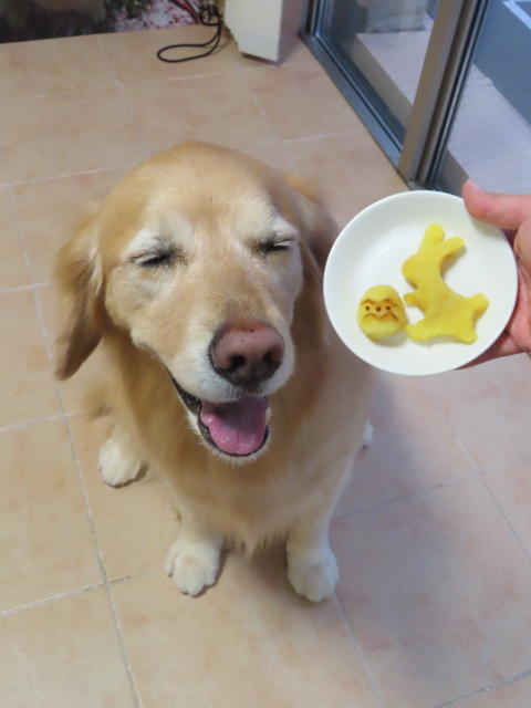 ファイル 8741-5.jpg