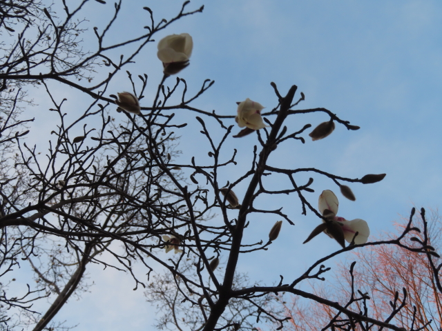 ファイル 8743-3.jpg