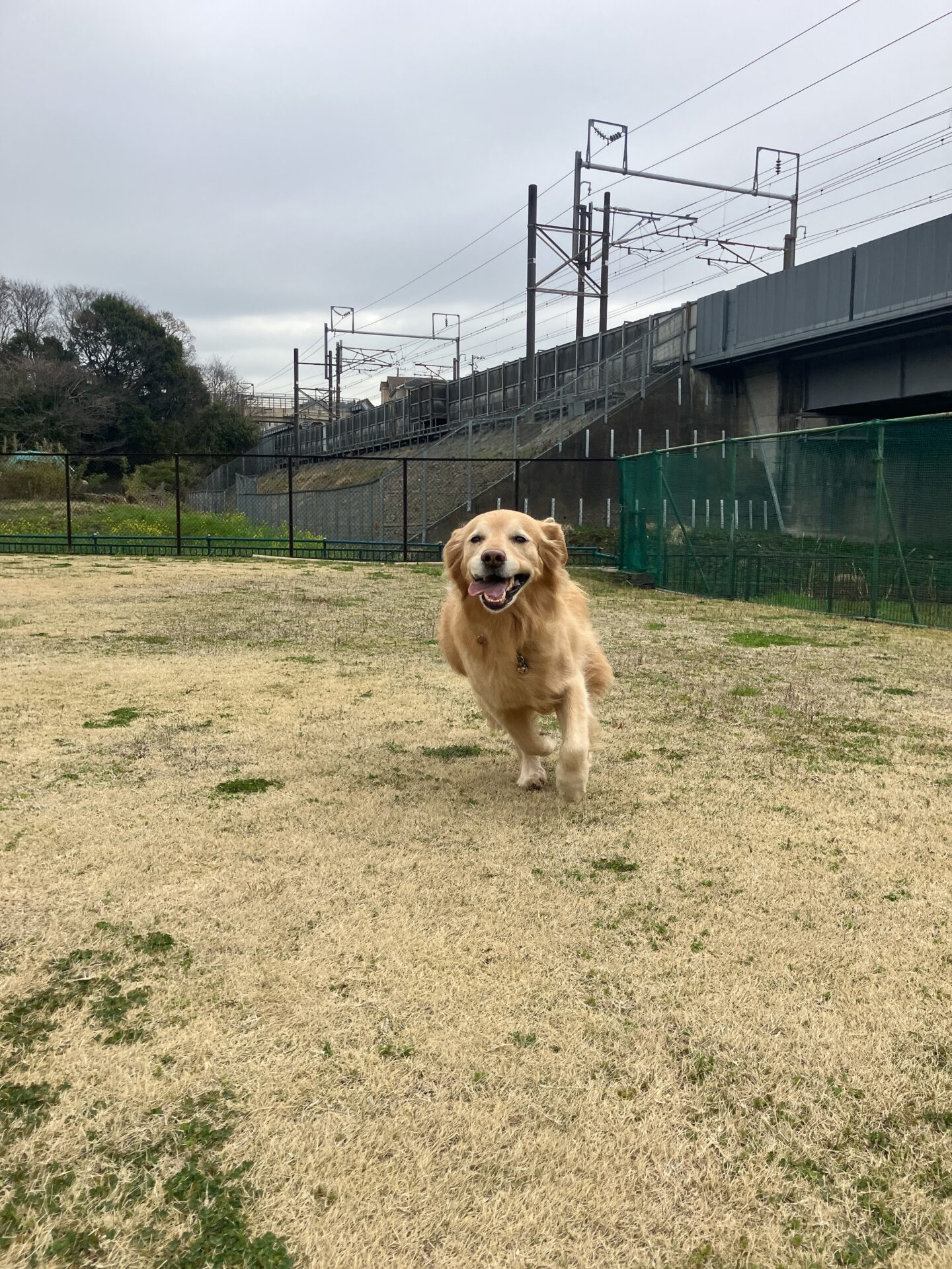 ファイル 8746-1.jpeg