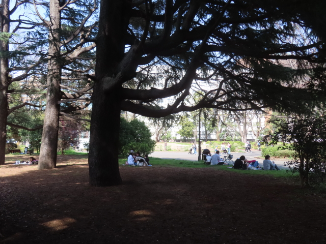 ファイル 8747-2.jpg