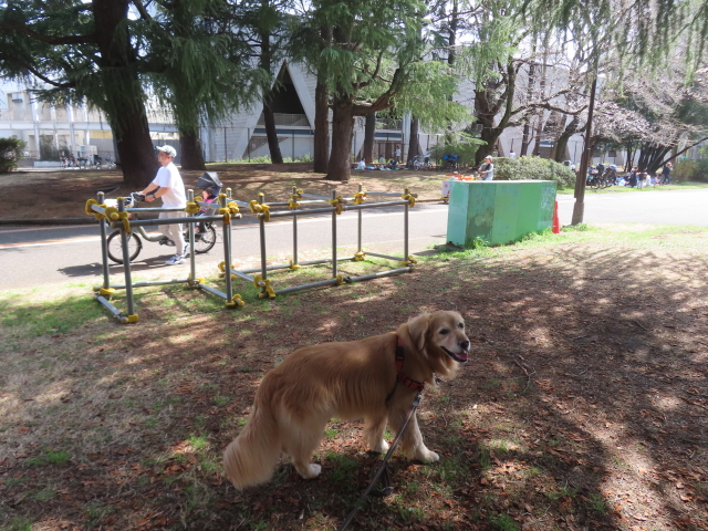 ファイル 8747-3.jpg