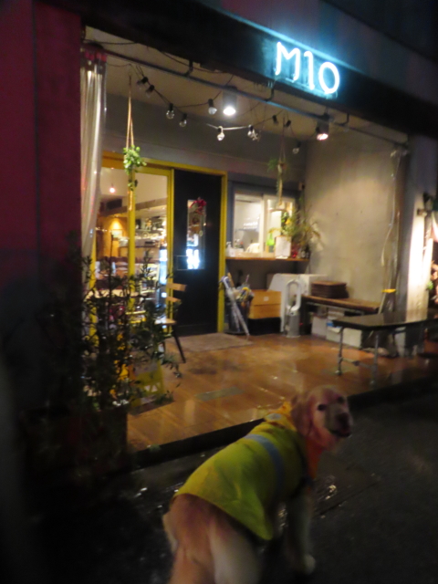 ファイル 8748-1.jpg