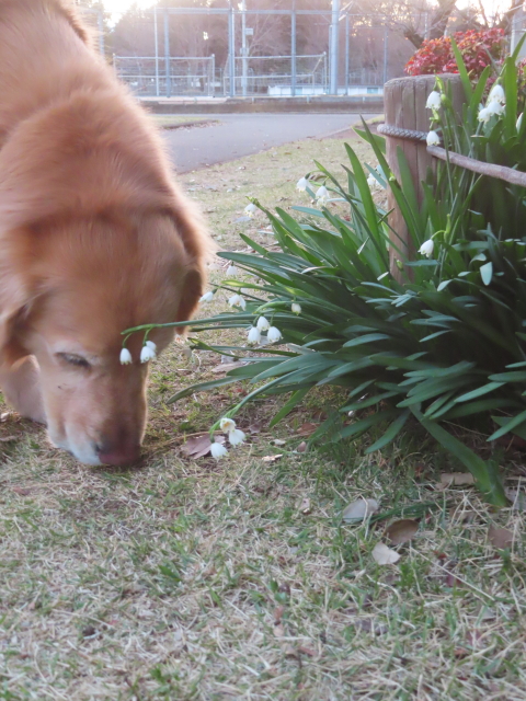 ファイル 8748-5.jpg