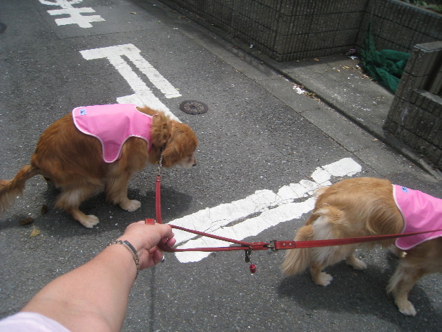 ファイル 875-1.jpg