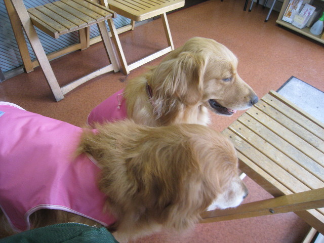 ファイル 875-4.jpg