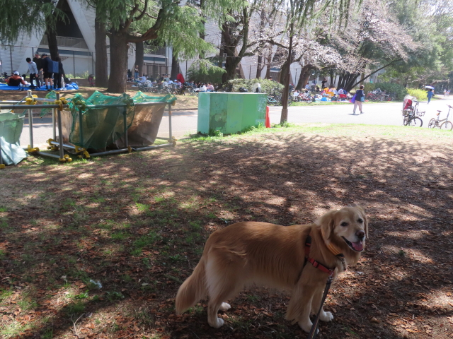 ファイル 8751-3.jpg