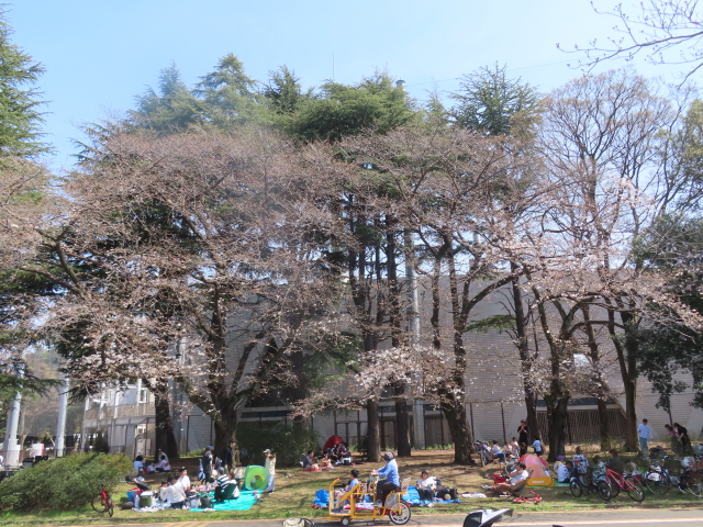 ファイル 8751-4.jpg