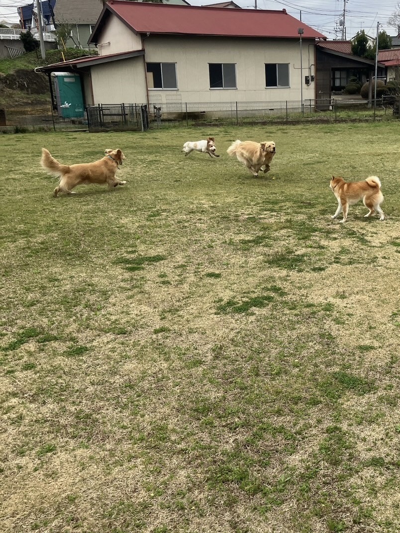 ファイル 8752-3.jpeg