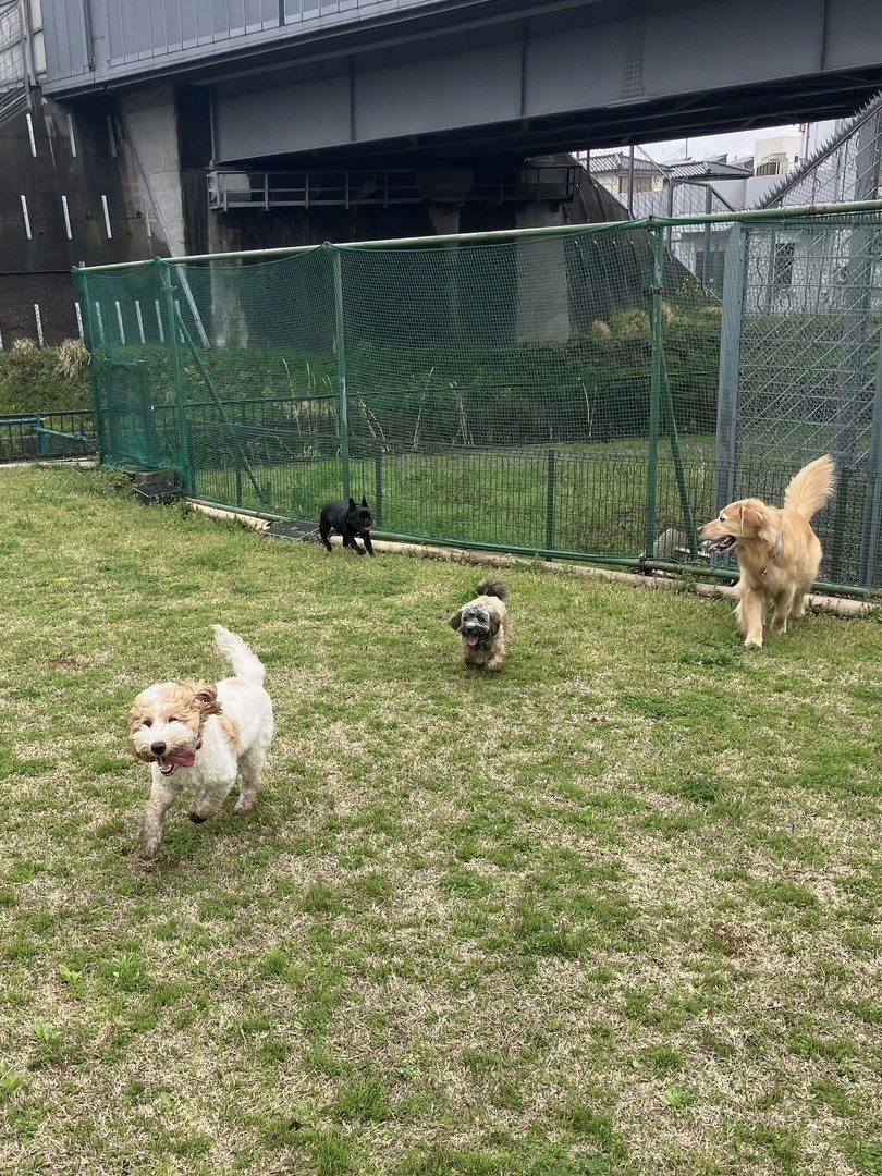 ファイル 8752-4.jpeg