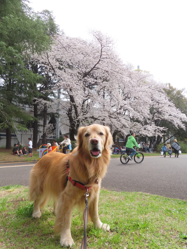 ファイル 8756-2.jpg