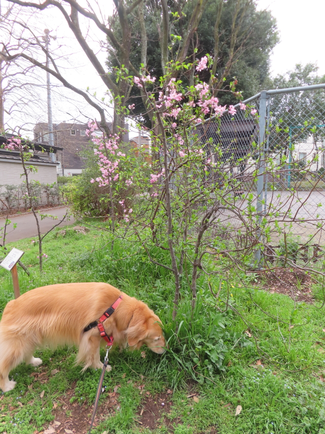 ファイル 8756-5.jpg