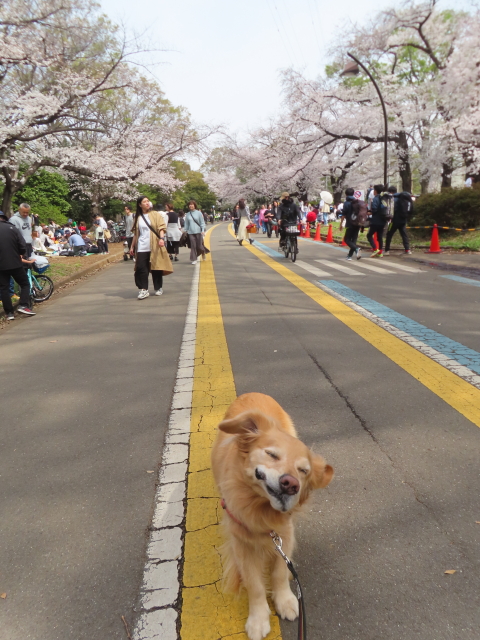 ファイル 8757-2.jpg