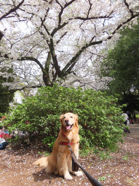 ファイル 8757-3.jpg