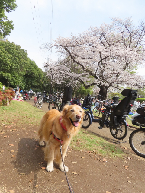 ファイル 8757-4.jpg