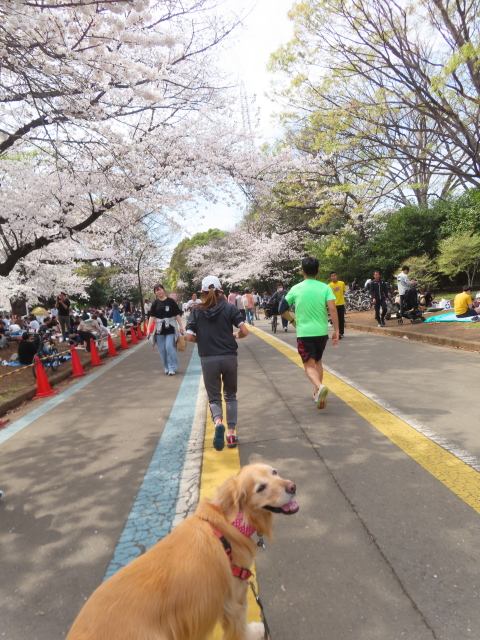 ファイル 8757-5.jpg