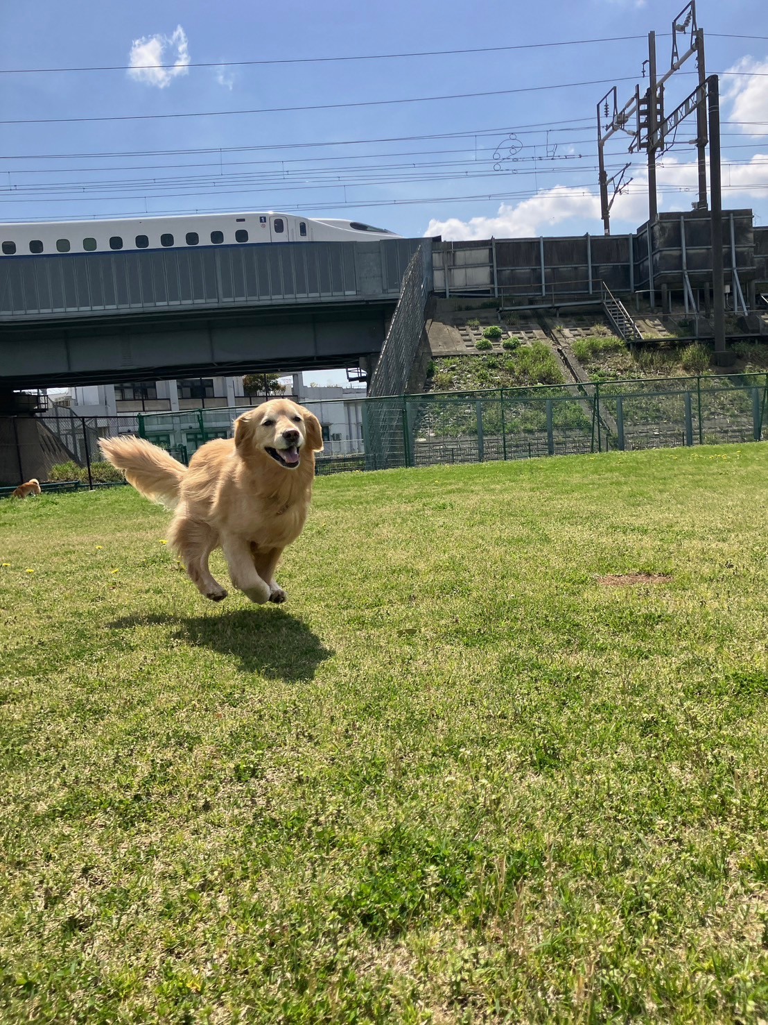 ファイル 8758-1.jpeg