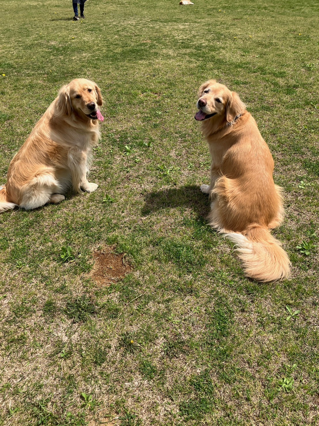 ファイル 8758-3.jpeg