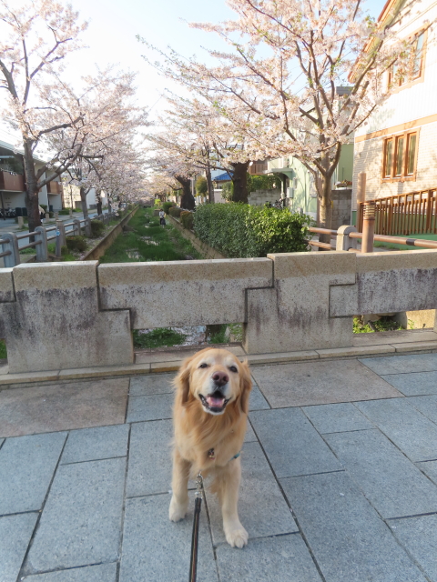 ファイル 8759-1.jpg