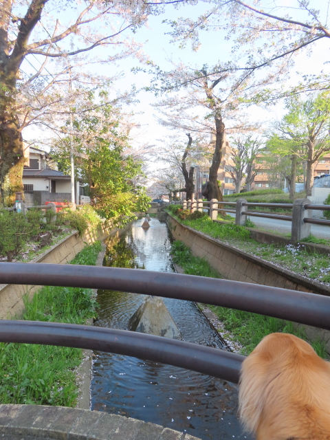 ファイル 8759-3.jpg