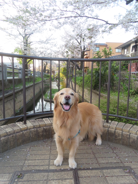 ファイル 8759-5.jpg