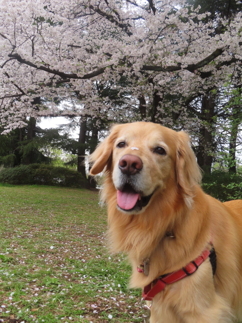 ファイル 8760-3.jpg