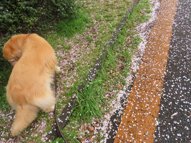 ファイル 8760-4.jpg