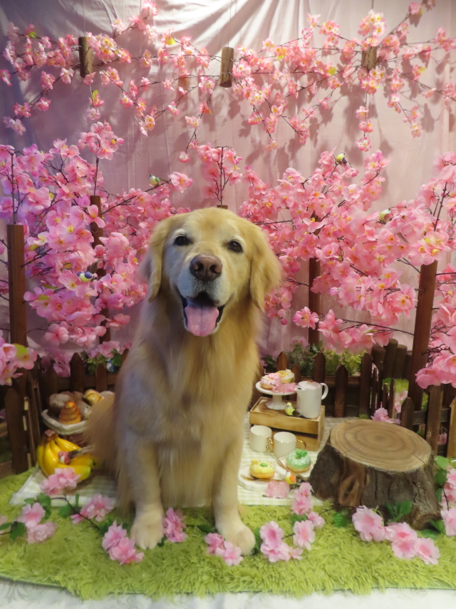 ファイル 8761-1.jpg