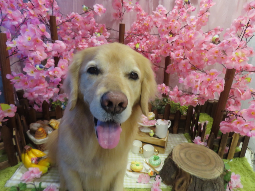 ファイル 8761-2.jpg