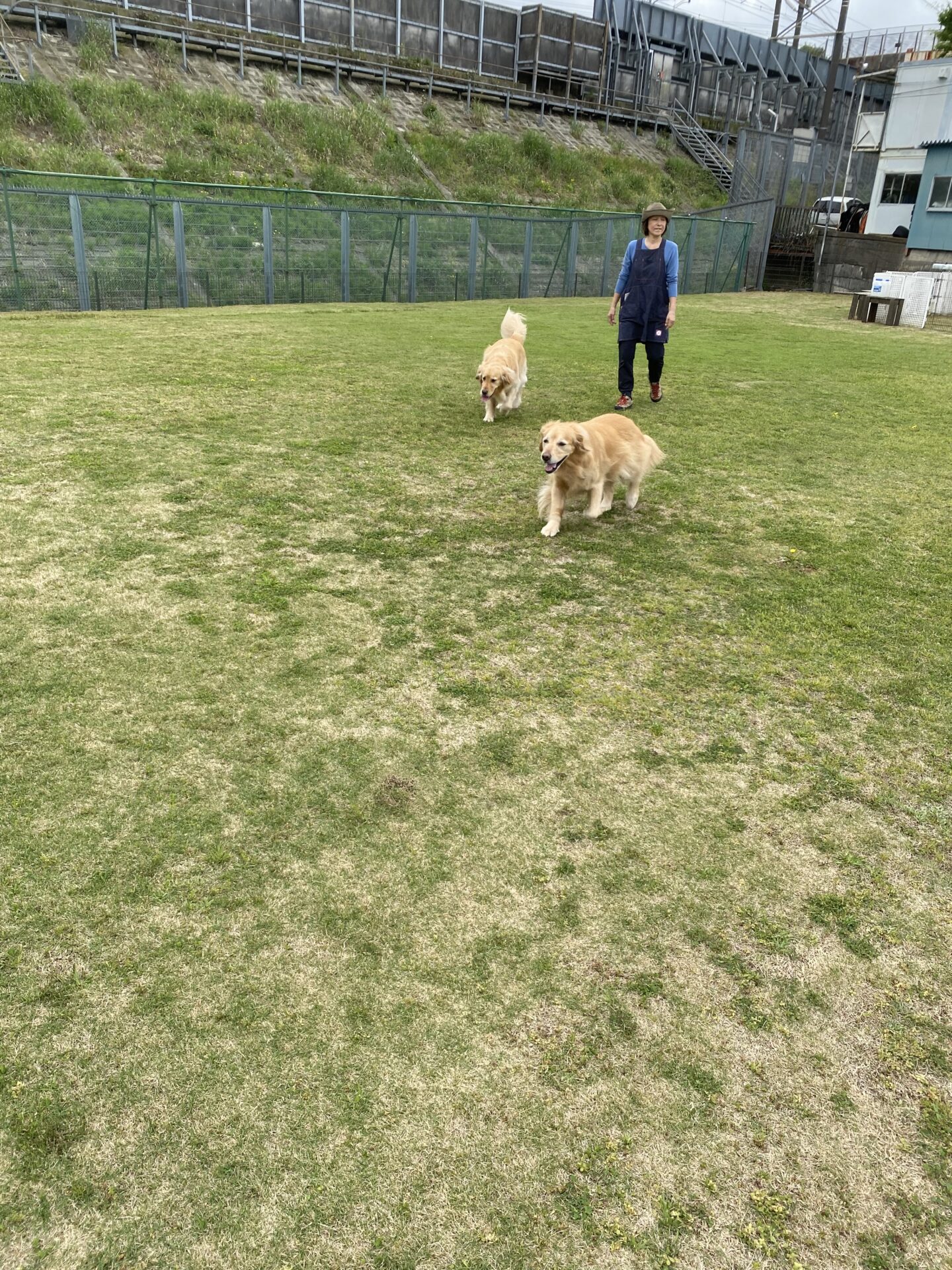 ファイル 8762-2.jpeg