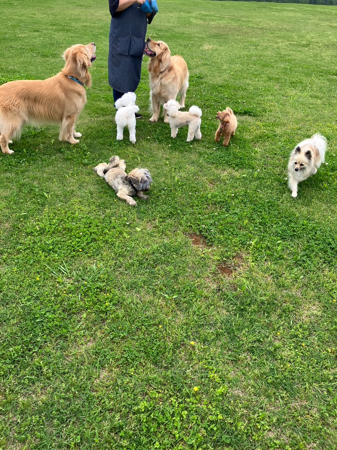 ファイル 8764-3.jpeg