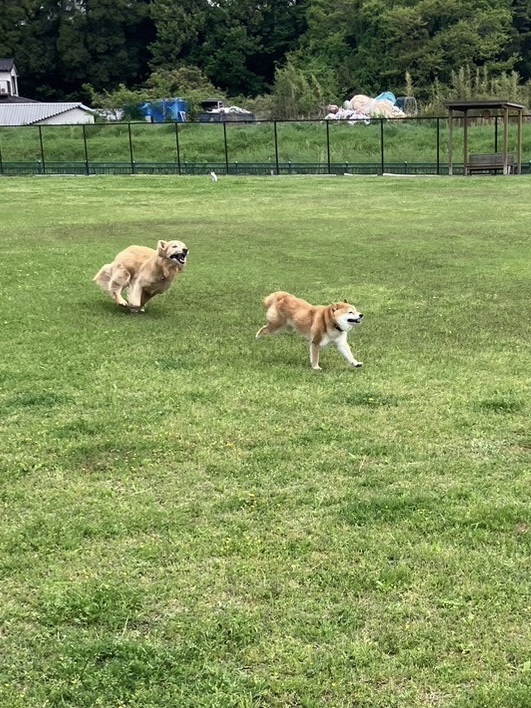 ファイル 8764-4.jpeg