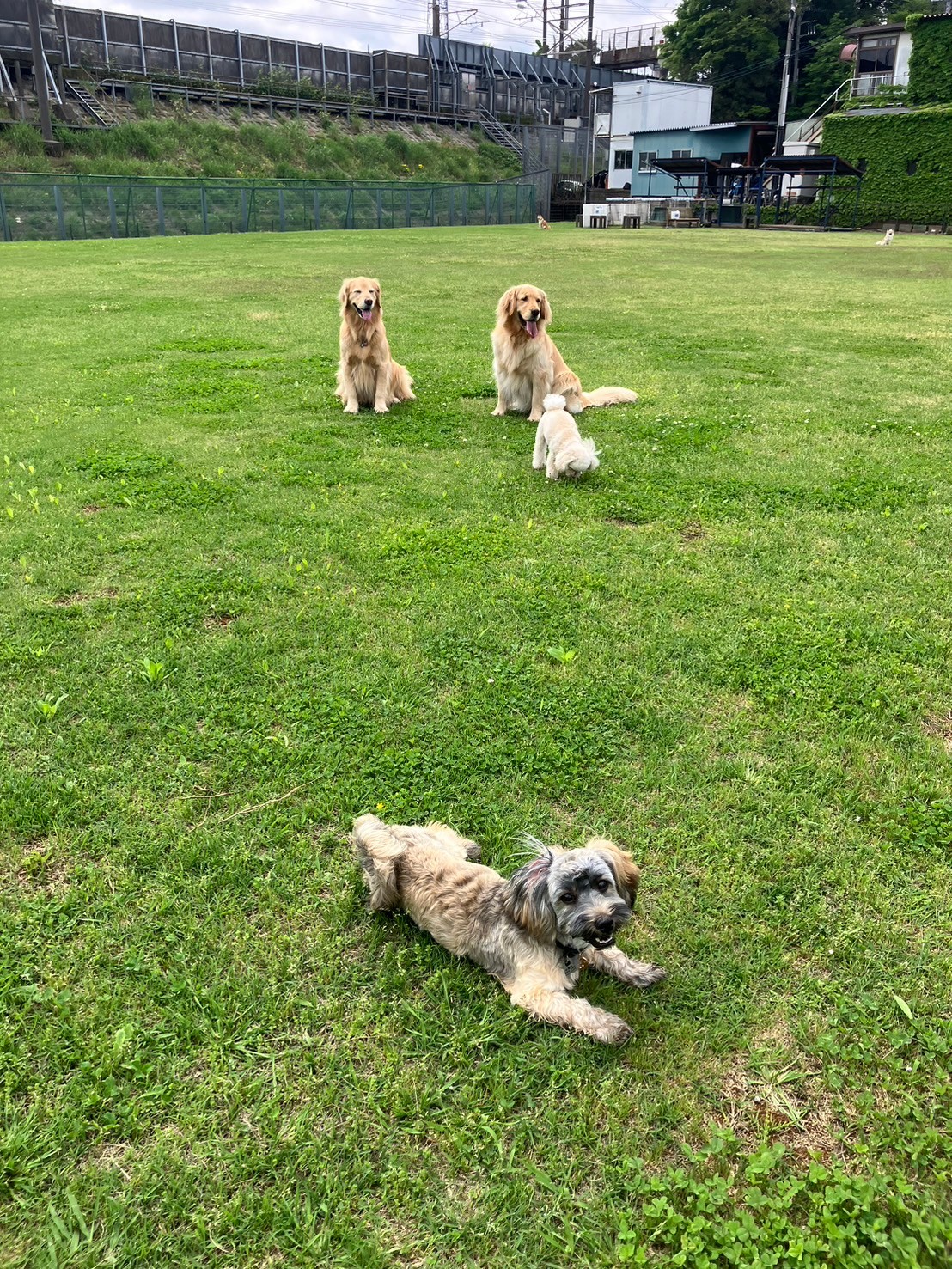 ファイル 8764-5.jpeg