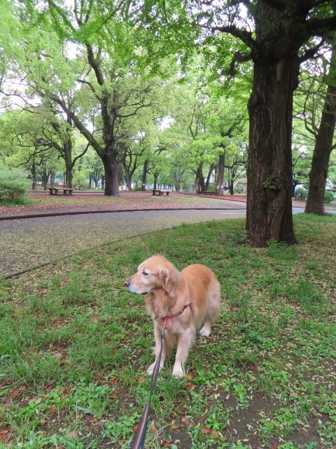 ファイル 8767-2.jpg