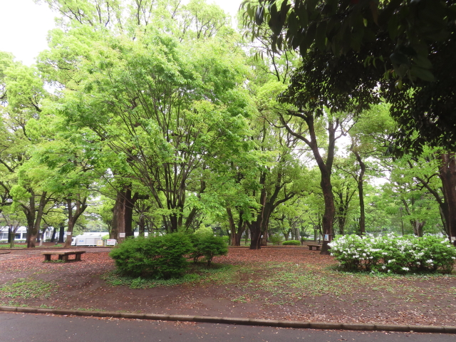 ファイル 8767-4.jpg